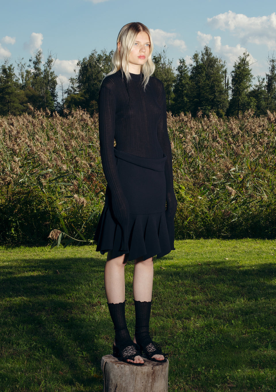 CAMARONES - BaibaRipa